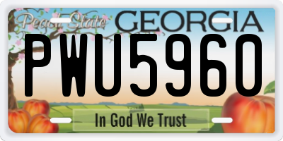 GA license plate PWU5960