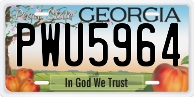 GA license plate PWU5964