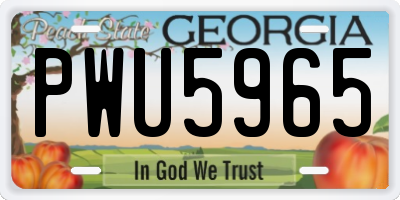 GA license plate PWU5965