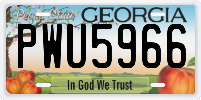 GA license plate PWU5966