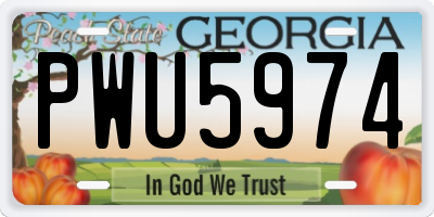 GA license plate PWU5974