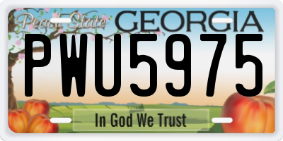 GA license plate PWU5975