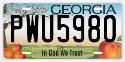 GA license plate PWU5980