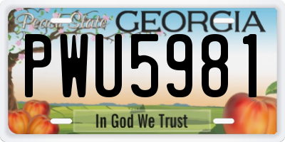 GA license plate PWU5981