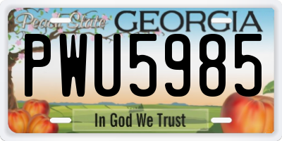 GA license plate PWU5985