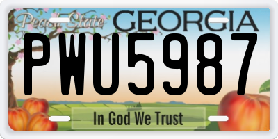 GA license plate PWU5987