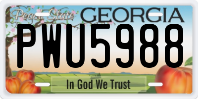 GA license plate PWU5988