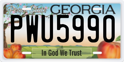 GA license plate PWU5990