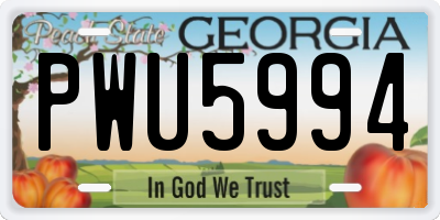 GA license plate PWU5994