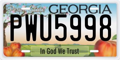 GA license plate PWU5998