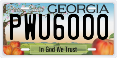 GA license plate PWU6000