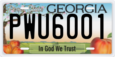 GA license plate PWU6001