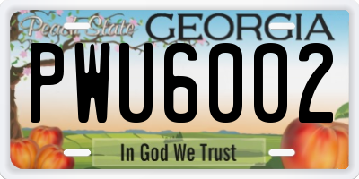GA license plate PWU6002