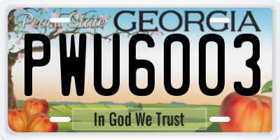 GA license plate PWU6003