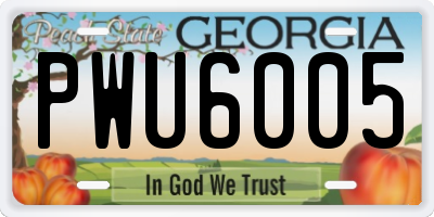GA license plate PWU6005