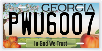 GA license plate PWU6007