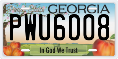 GA license plate PWU6008