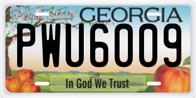 GA license plate PWU6009