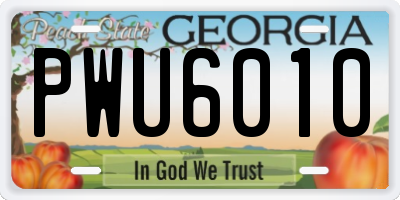 GA license plate PWU6010