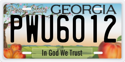 GA license plate PWU6012