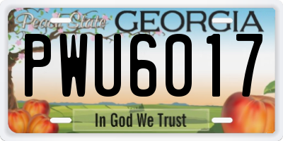 GA license plate PWU6017