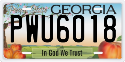 GA license plate PWU6018