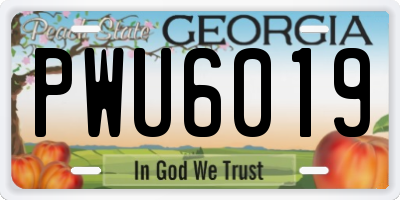 GA license plate PWU6019