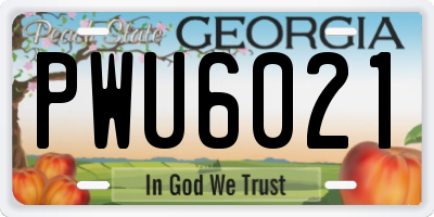 GA license plate PWU6021