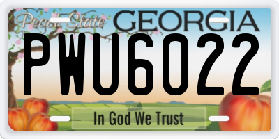 GA license plate PWU6022