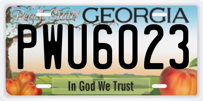 GA license plate PWU6023