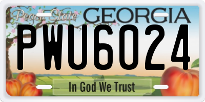 GA license plate PWU6024