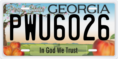 GA license plate PWU6026
