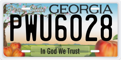 GA license plate PWU6028
