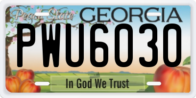 GA license plate PWU6030