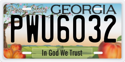 GA license plate PWU6032