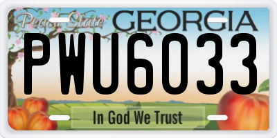 GA license plate PWU6033