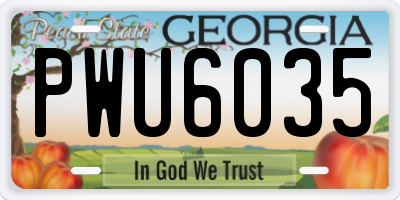 GA license plate PWU6035