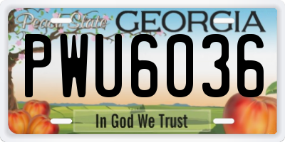 GA license plate PWU6036