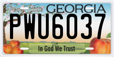 GA license plate PWU6037