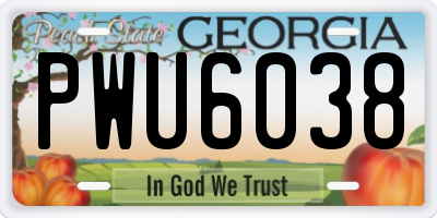 GA license plate PWU6038