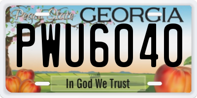 GA license plate PWU6040