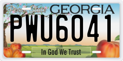 GA license plate PWU6041