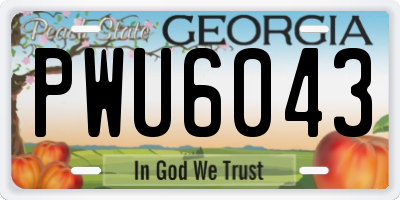 GA license plate PWU6043