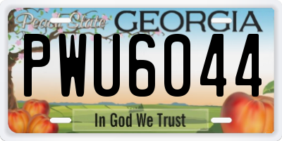 GA license plate PWU6044