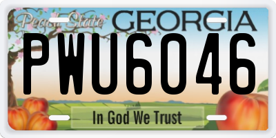 GA license plate PWU6046