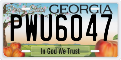 GA license plate PWU6047