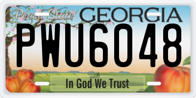 GA license plate PWU6048
