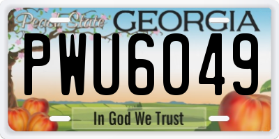 GA license plate PWU6049