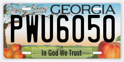 GA license plate PWU6050