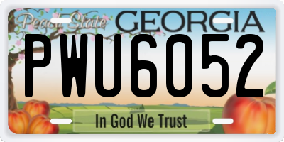 GA license plate PWU6052